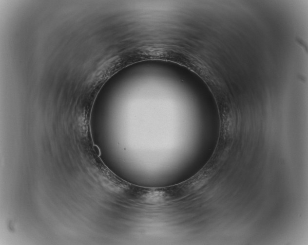 X0000102870609200808251243