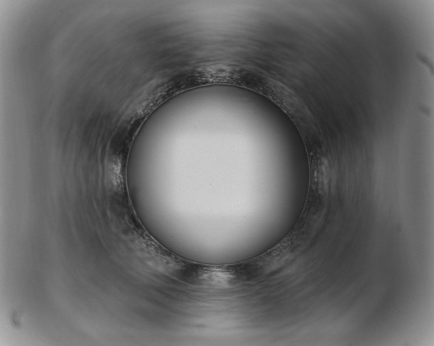 X0000102870610200808251243