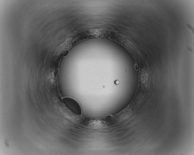 X0000102870611200808251243