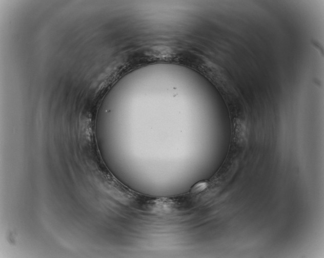 X0000102870612200808251243