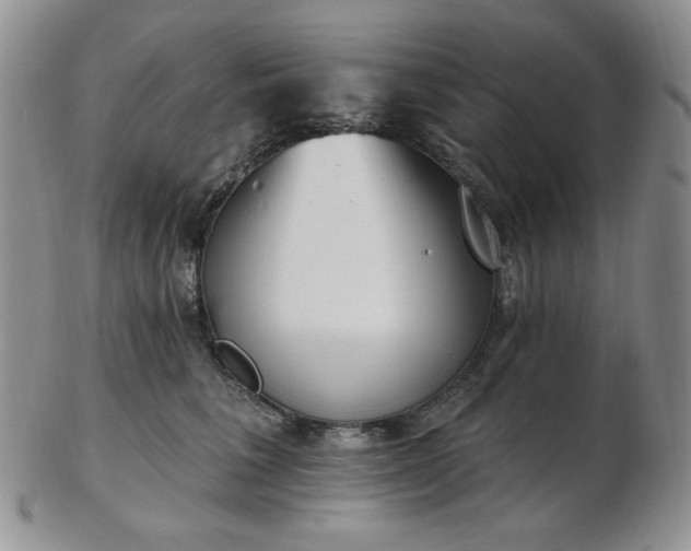 X0000102870613200808251243