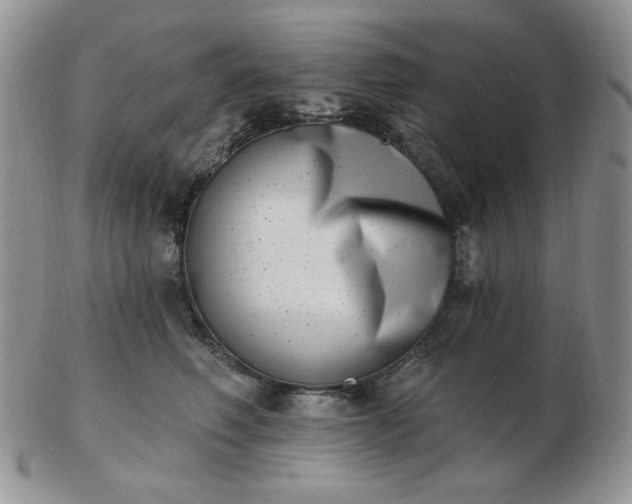 X0000102870614200808251243