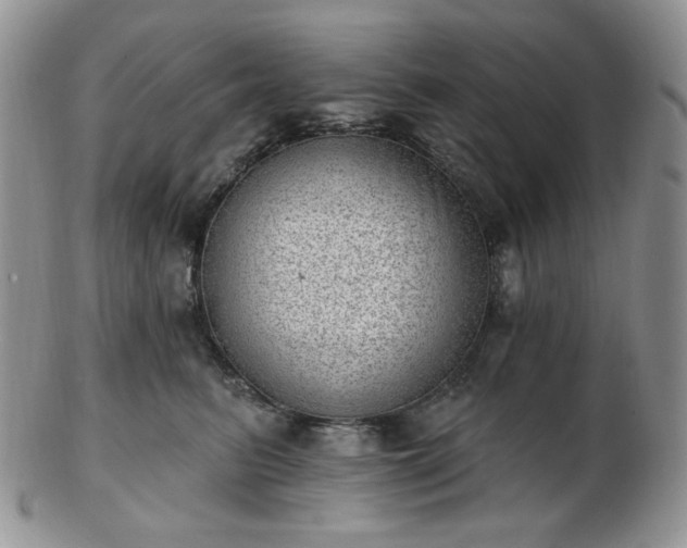 X0000102870615200808251243