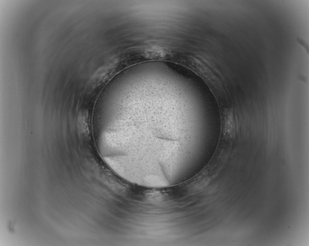 X0000102870616200808251243