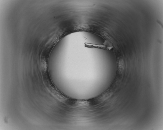 X0000102870617200808251243