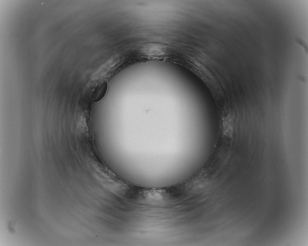 X0000102870618200808251243