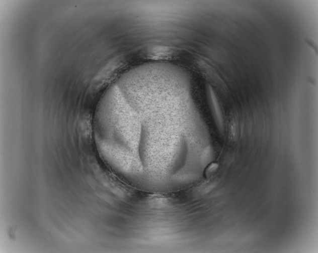 X0000102870620200808251243