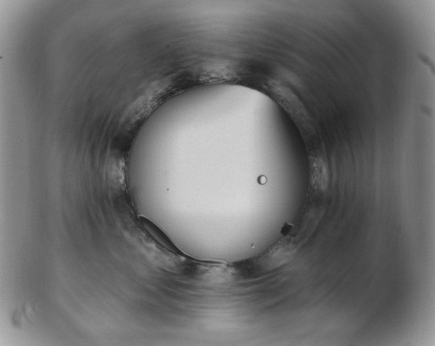 X0000102870621200808251242