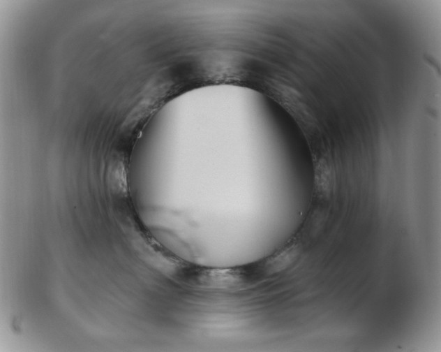 X0000102870622200808251242