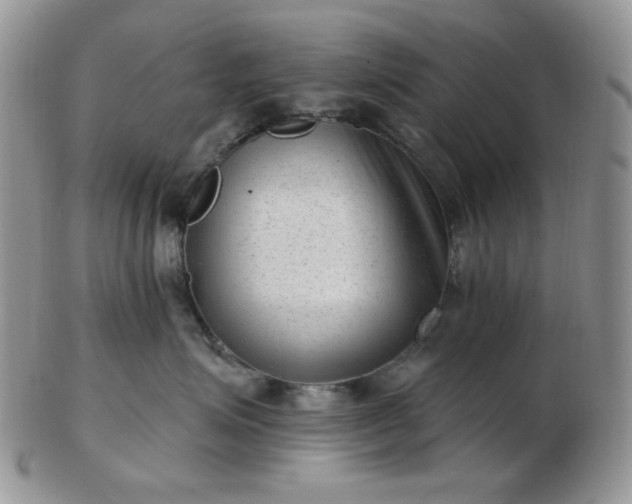 X0000102870623200808251242