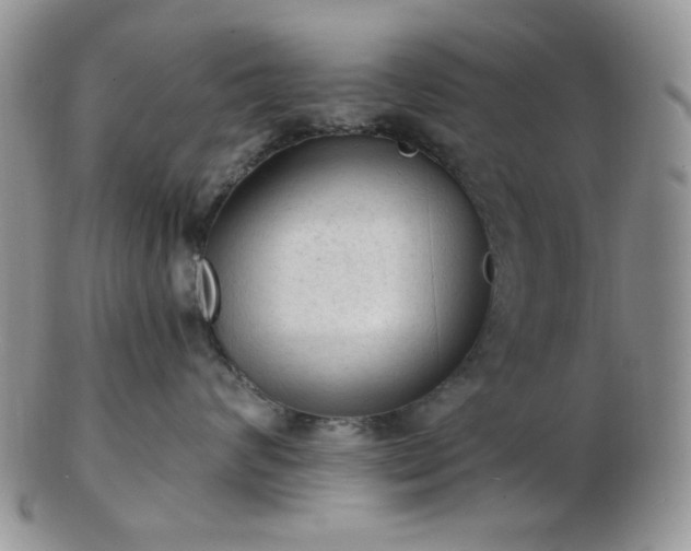 X0000102870624200808251242