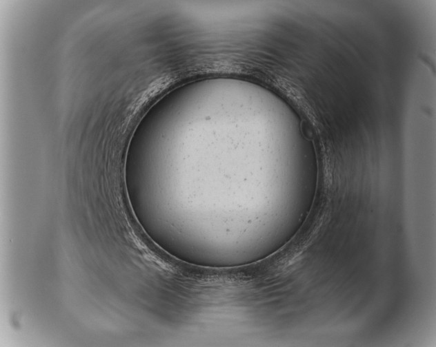 X0000102870625200808251242