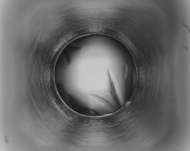 X0000102870626200808251242