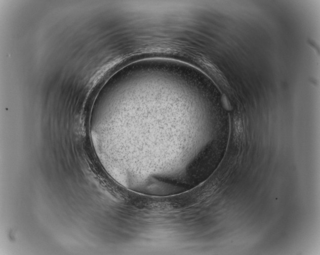 X0000102870628200808251242