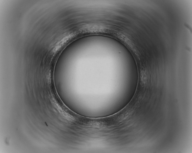 X0000102870629200808251242