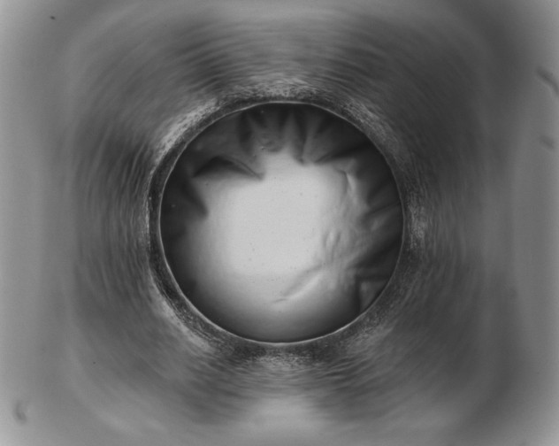 X0000102870630200808251242