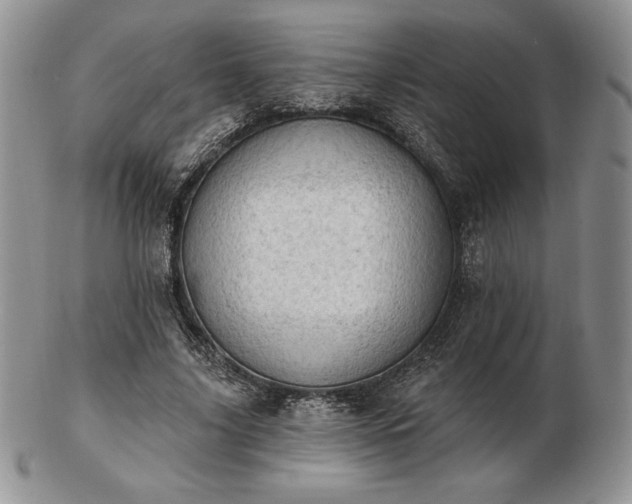 X0000102870635200808251242