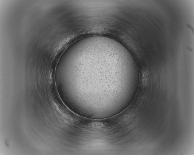 X0000102870636200808251242