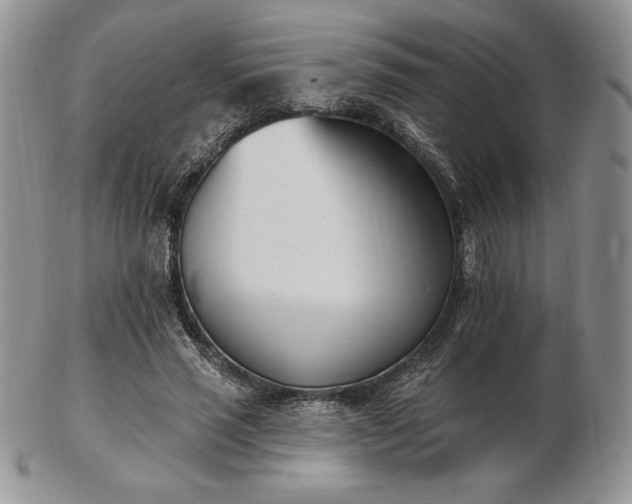 X0000102870637200808251242