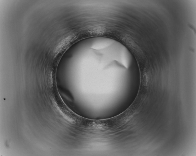 X0000102870638200808251242