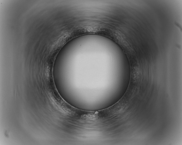 X0000102870639200808251242