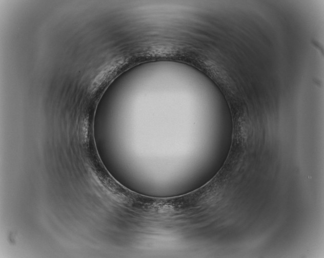 X0000102870640200808251242