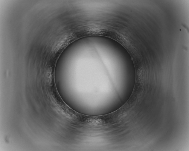 X0000102870642200808251242