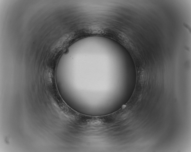 X0000102870643200808251242