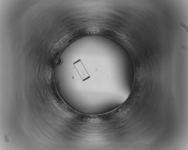 X0000102870645200808251242