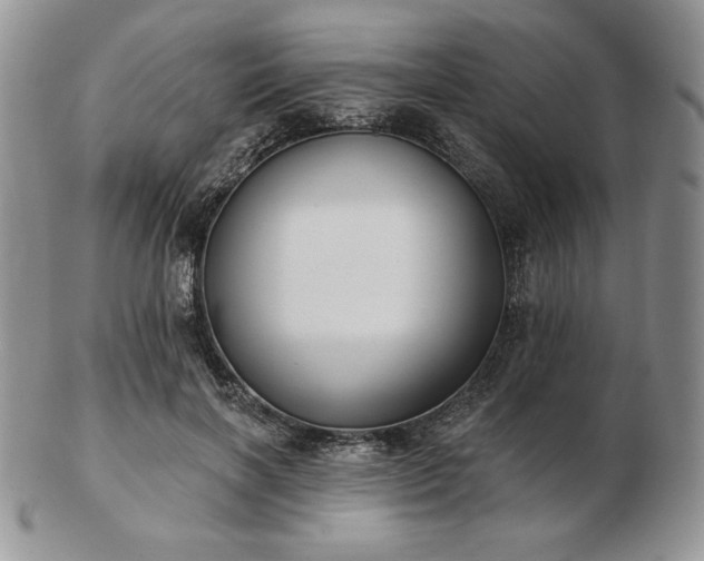 X0000102870646200808251242