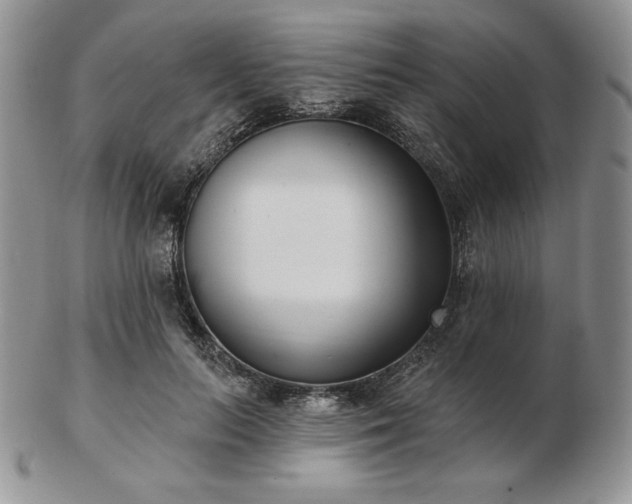 X0000102870647200808251242