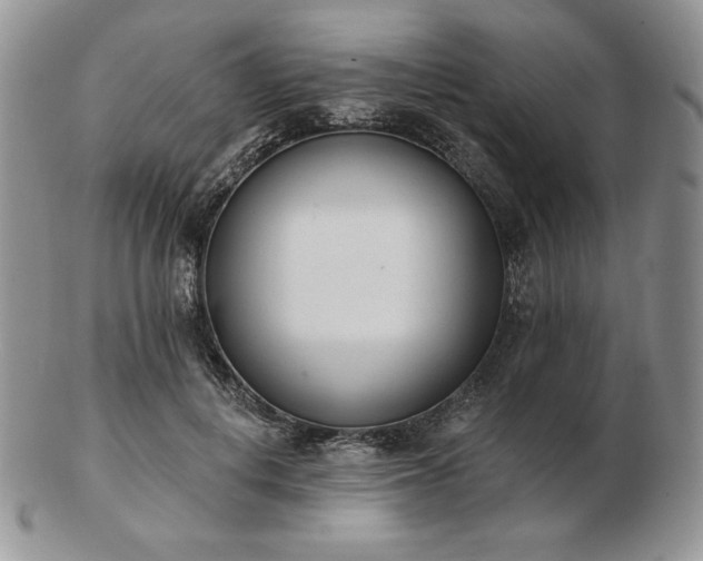 X0000102870648200808251242