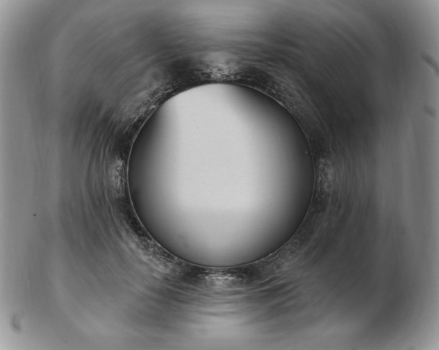 X0000102870650200808251242