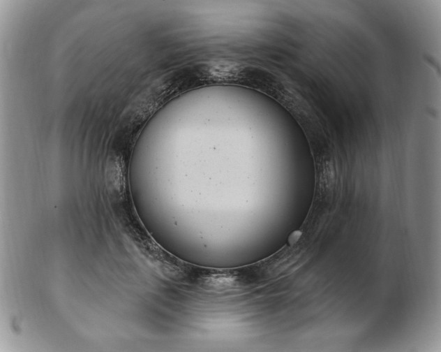 X0000102870651200808251242