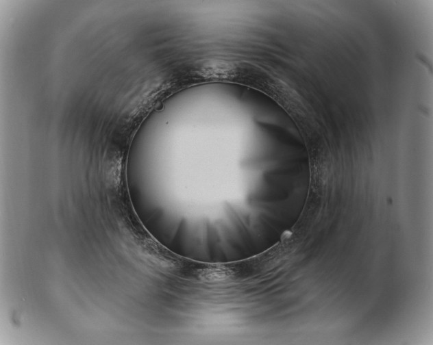 X0000102870652200808251242