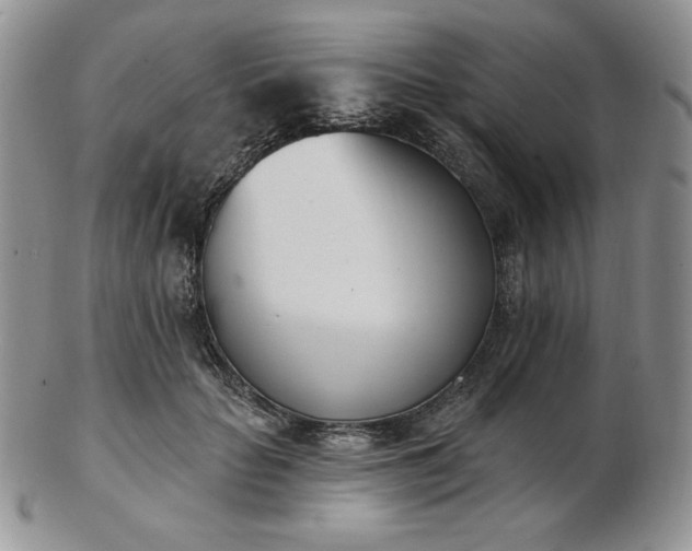 X0000102870653200808251242