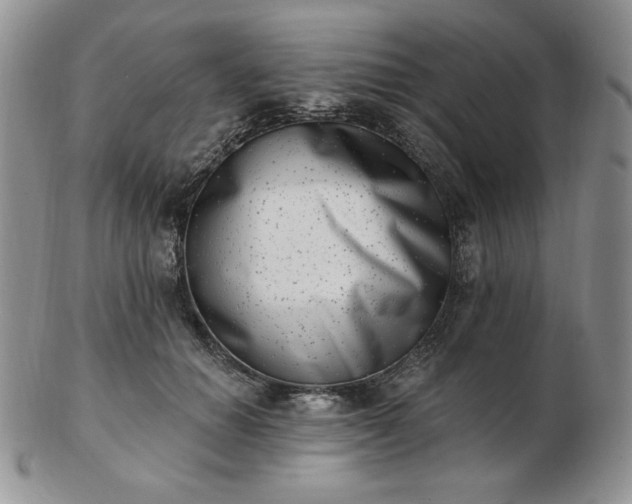 X0000102870654200808251242