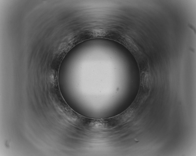 X0000102870655200808251242