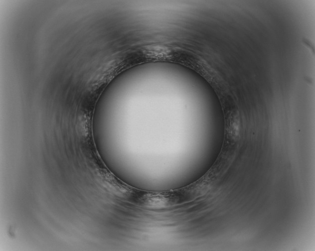 X0000102870658200808251242