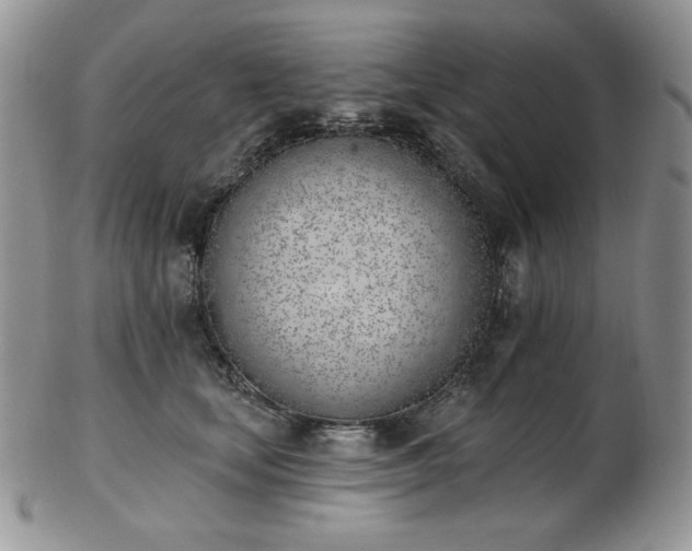 X0000102870659200808251242