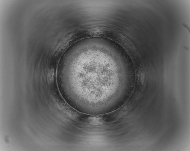 X0000102870660200808251242