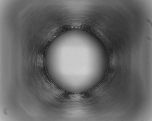 X0000102870661200808251242