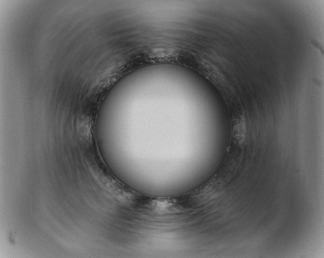 X0000102870662200808251242