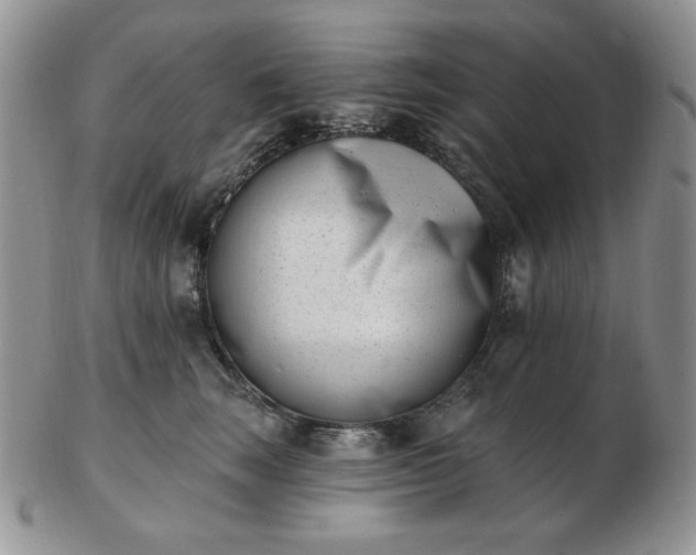 X0000102870663200808251242