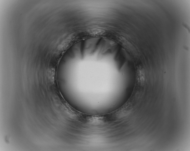 X0000102870664200808251242