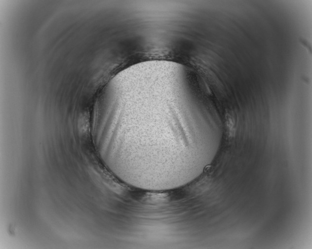 X0000102870665200808251242