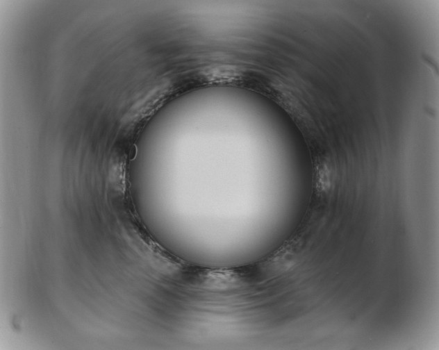 X0000102870666200808251242