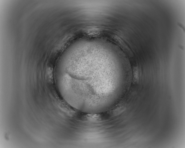 X0000102870667200808251242