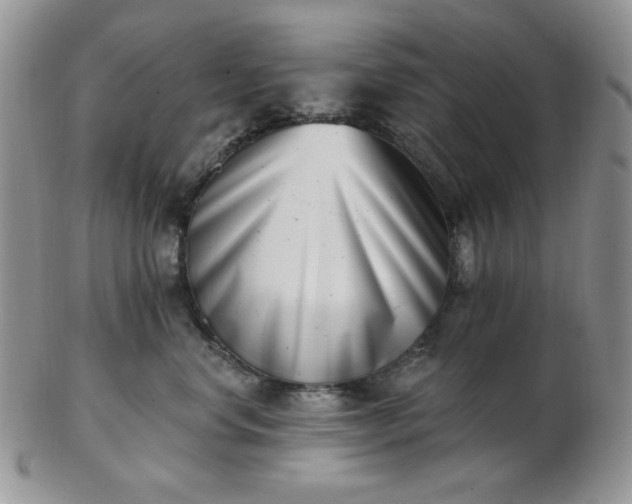 X0000102870668200808251242