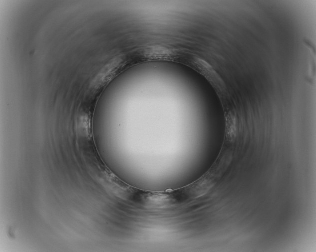 X0000102870669200808251242